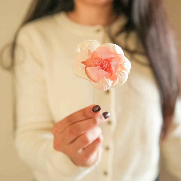 Dual Shade Sola Peony Pink & White Dried Flower Bunch | Elegant Home Decor | ArteCasa