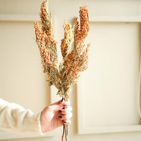 Dried Mimosa Flower Bunch for Home Décor - https://artecasa.in/