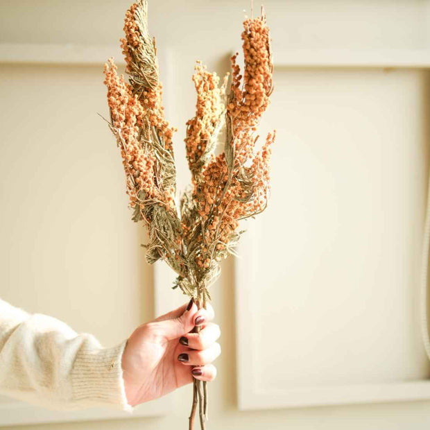 Dried Mimosa Flower Bunch for Home Décor