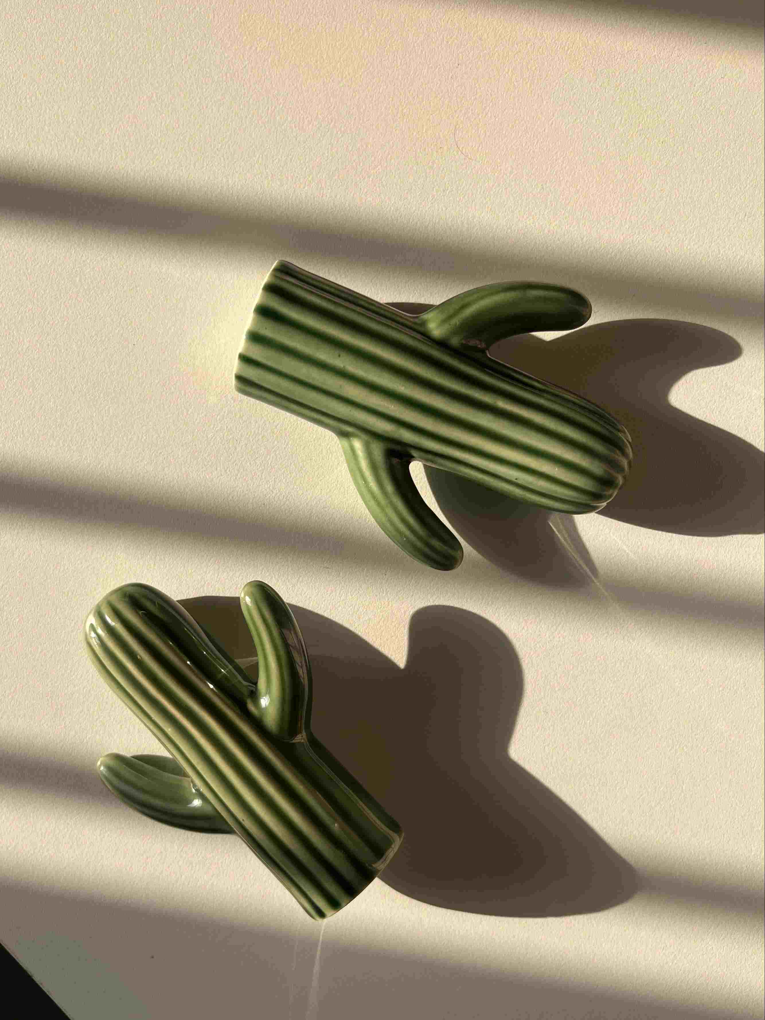 Salt and pepper shakers, cactus shakers, tableware trinket, dopamine decor, quirky shakers