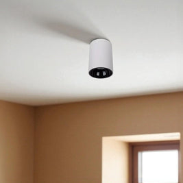 PL101 White LED Surface COB Ceiling Light
