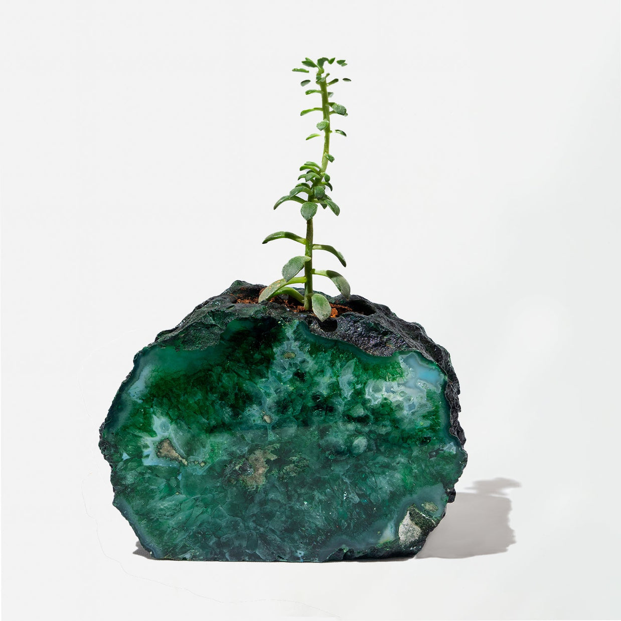 Semi Precious Planter