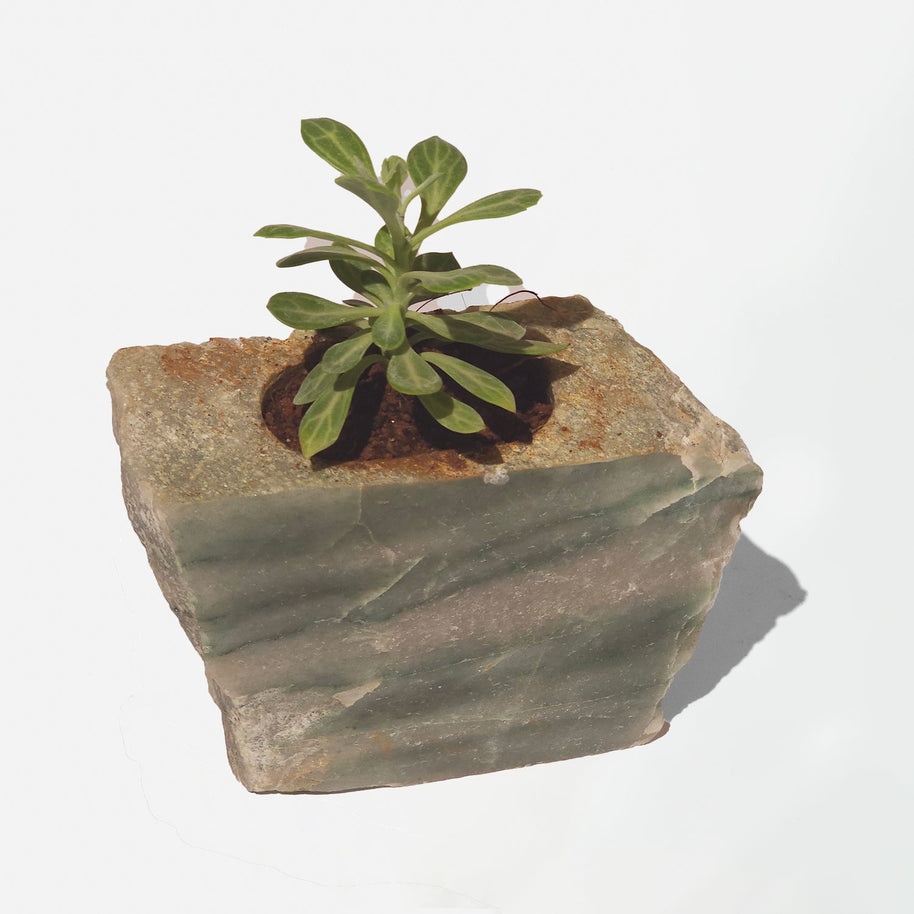 Semi Precious Planter