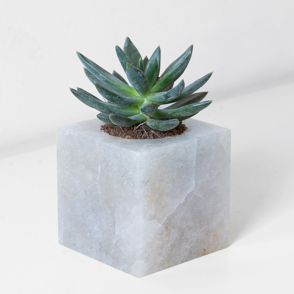 Semi Precious Cube Planter