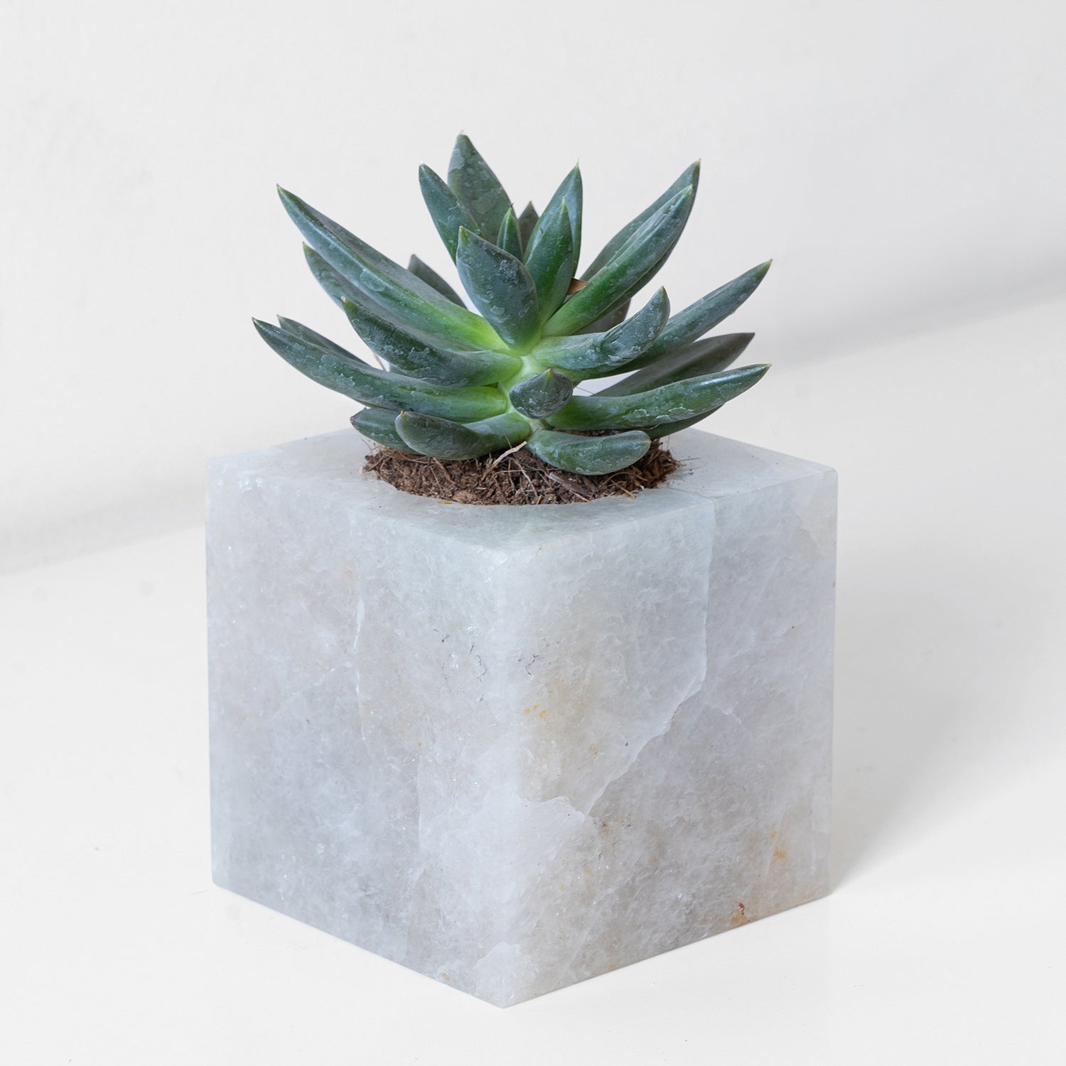 Semi Precious Cube Planter
