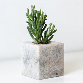 Semi Precious Cube Planter