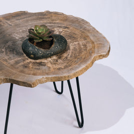 Petrified Wood Side Table