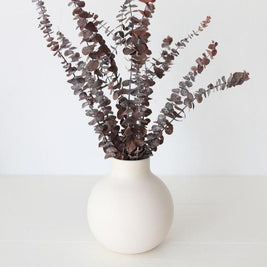 Brown Eucalyptus leaves - https://artecasa.in/