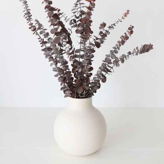 Brown Eucalyptus Dried Flower Stems (Set of 5) | Natural Long-Lasting Home Decor – ArteCasa