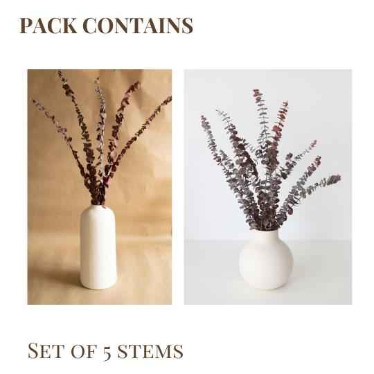 Brown Eucalyptus Dried Flower Stems (Set of 5) | Natural Long-Lasting Home Decor – ArteCasa