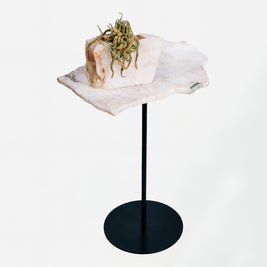 Fossil Quartz Side Table