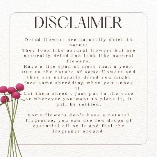 Hydrangeas _Peach - https://artecasa.in/