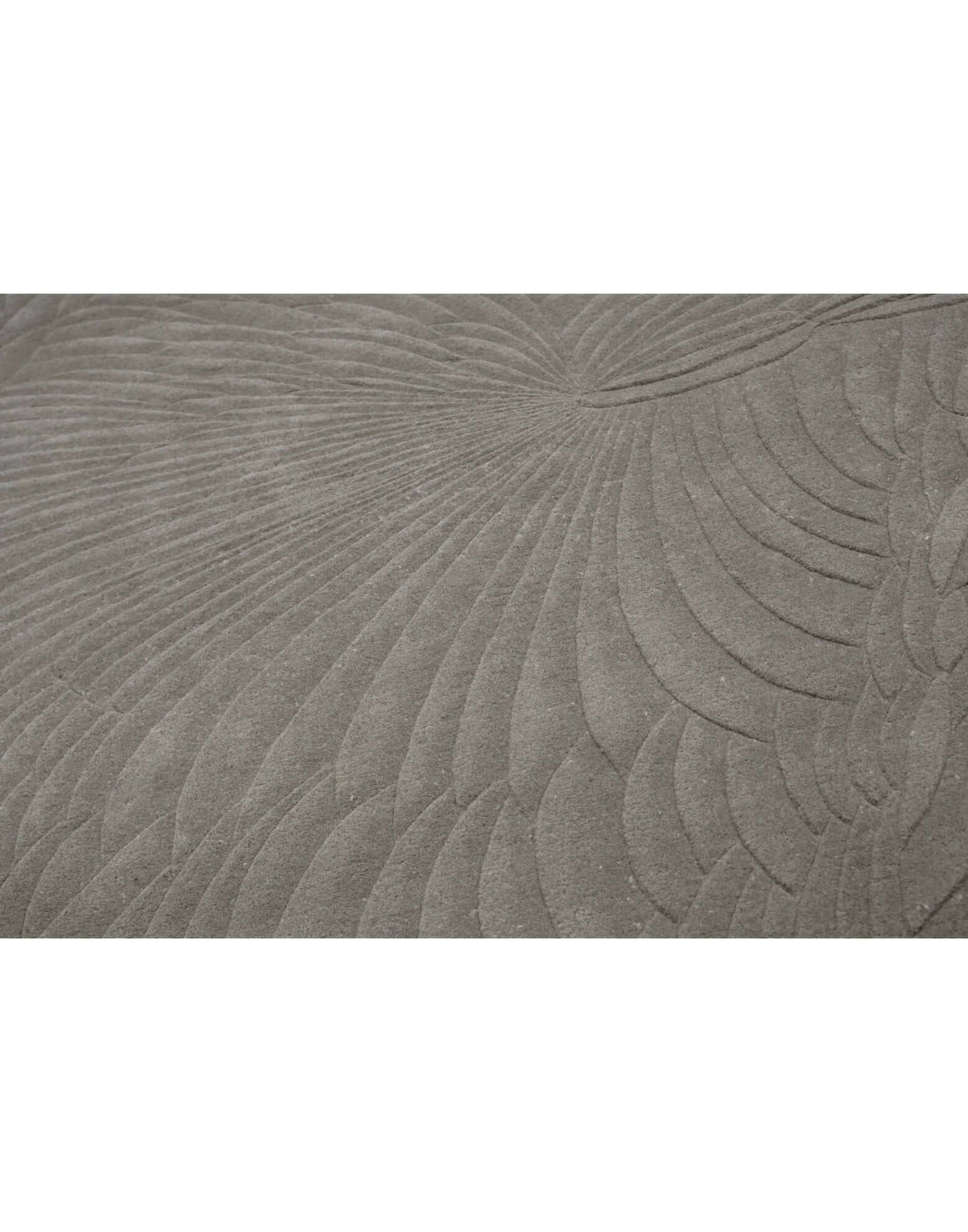 S C U L P T E D - S C A L E S