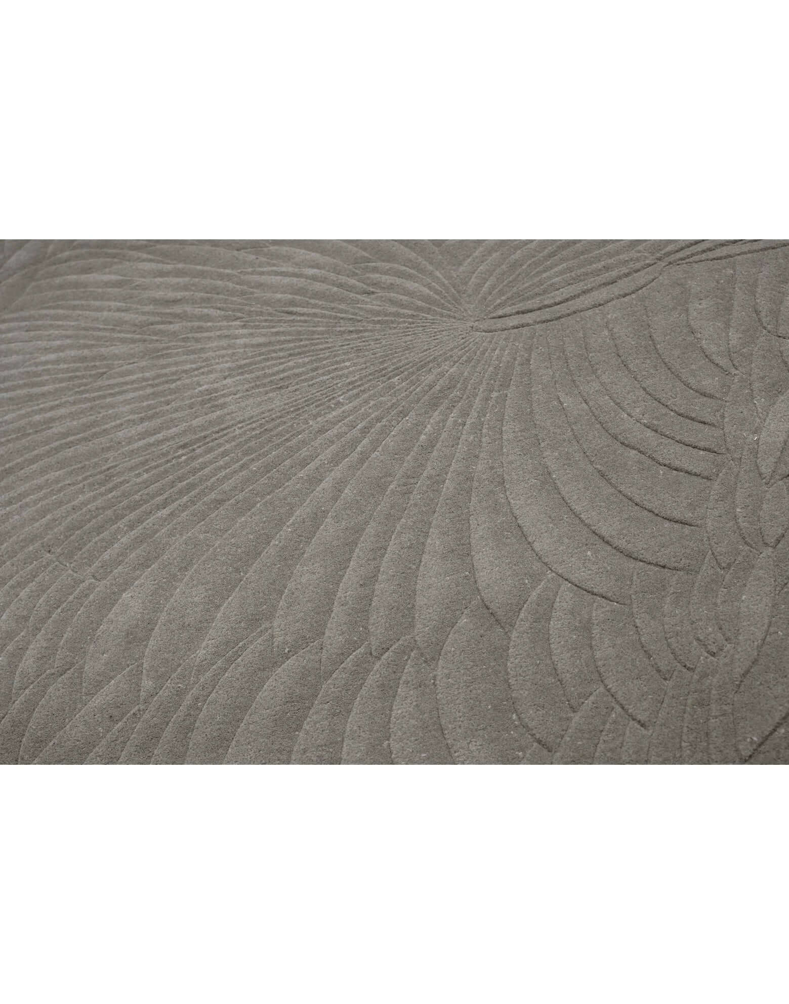 S C U L P T E D - S C A L E S