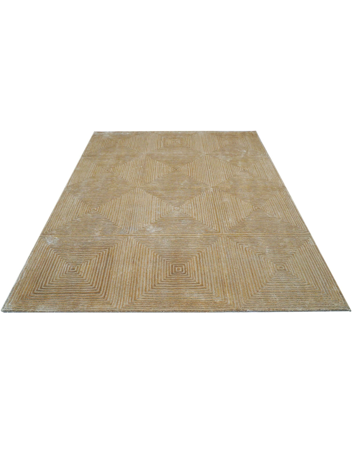 C O N T O U R - A L A N I