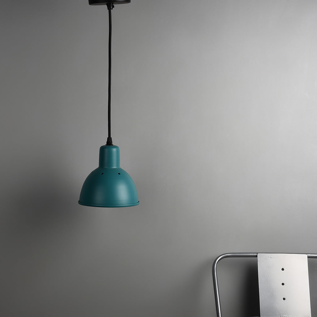 Hawk Pendant Light
