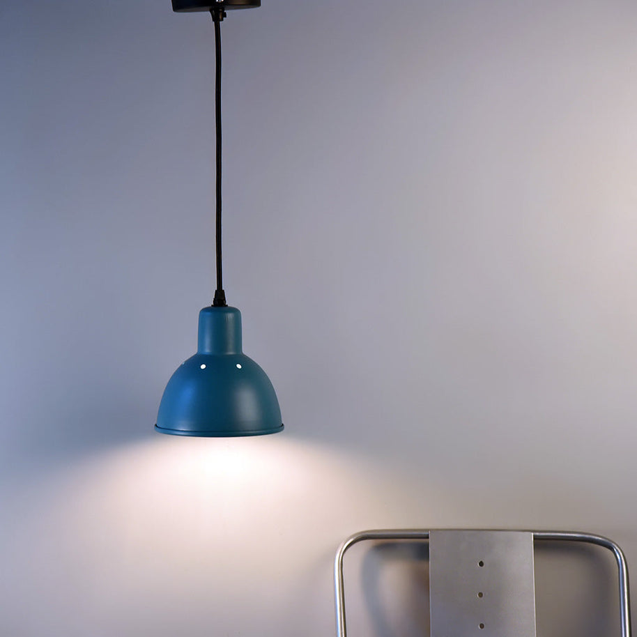 Hawk Pendant Light