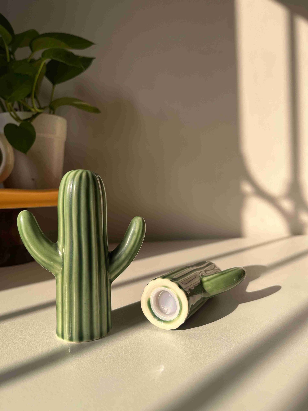 Salt and pepper shakers, cactus shakers, tableware trinket, dopamine decor, quirky shakers