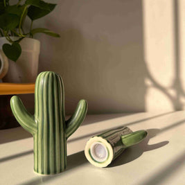 Salt and pepper shakers, cactus shakers, tableware trinket, dopamine decor, quirky shakers