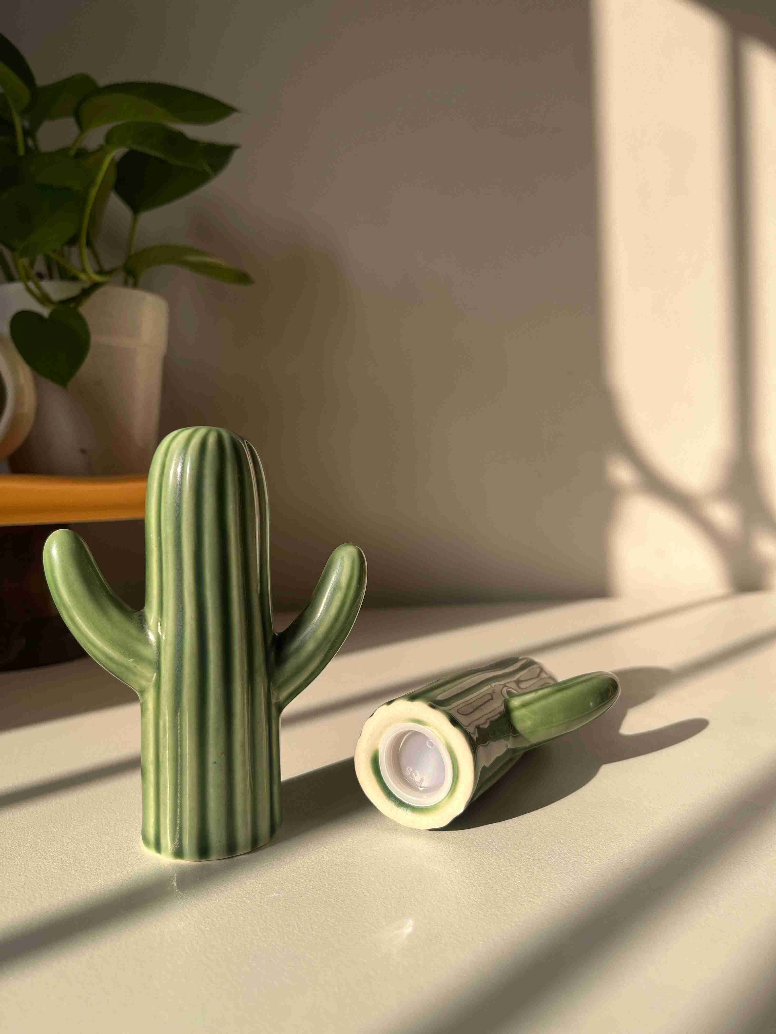 Salt and pepper shakers, cactus shakers, tableware trinket, dopamine decor, quirky shakers