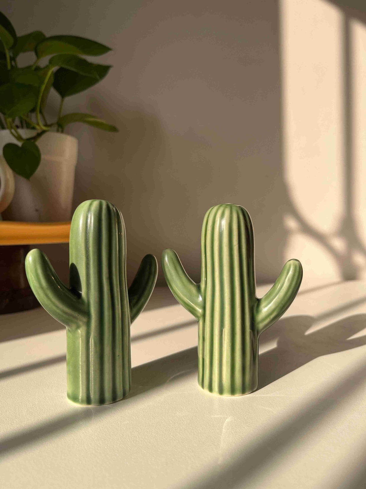Salt and pepper shakers, cactus shakers, tableware trinket, dopamine decor, quirky shakers