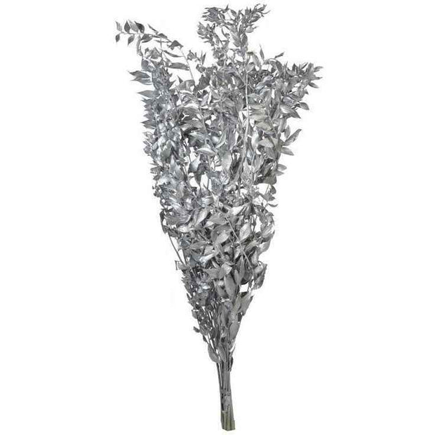 Silver Ruscus Dried Flower Bunch Décor