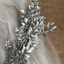 Silver Ruscus Dried Flower Bunch Décor - https://artecasa.in/