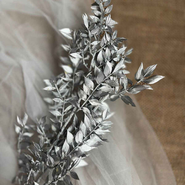 Silver Ruscus Dried Flower Bunch Décor