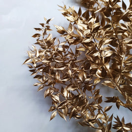 Ruscus-Golden - https://artecasa.in/