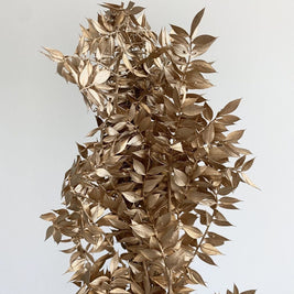 Ruscus-Golden - https://artecasa.in/