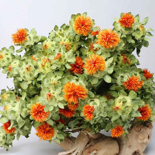 Dried safflower