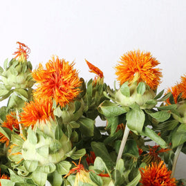 Dried safflower - https://artecasa.in/