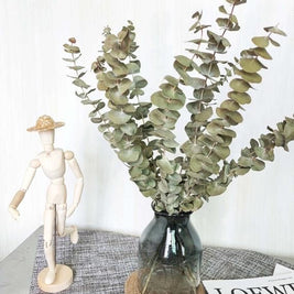 Dried light green  Eucalyptus parvifolia - https://artecasa.in/