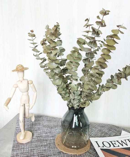 light green Eucalyptus parvifolia | Aesthetic Natural Floral Arrangement for Home Decor & Gifting – ArteCasa