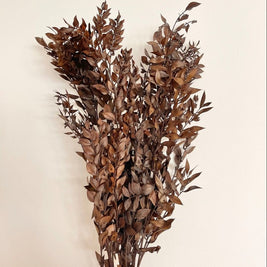 Ruscus Brown Dried Flower Bunch – Natural Décor - https://artecasa.in/