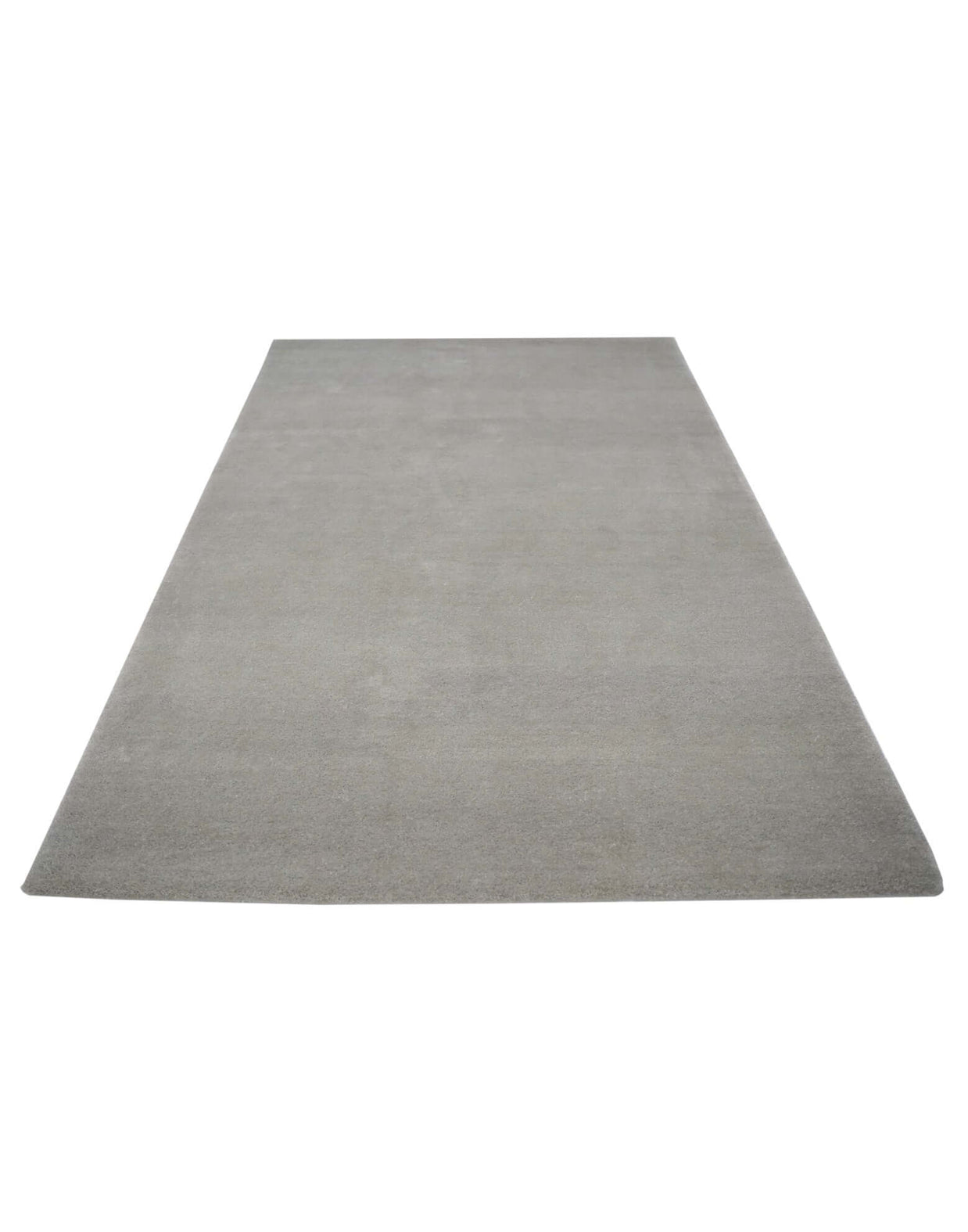 I C O N - S I L V E R