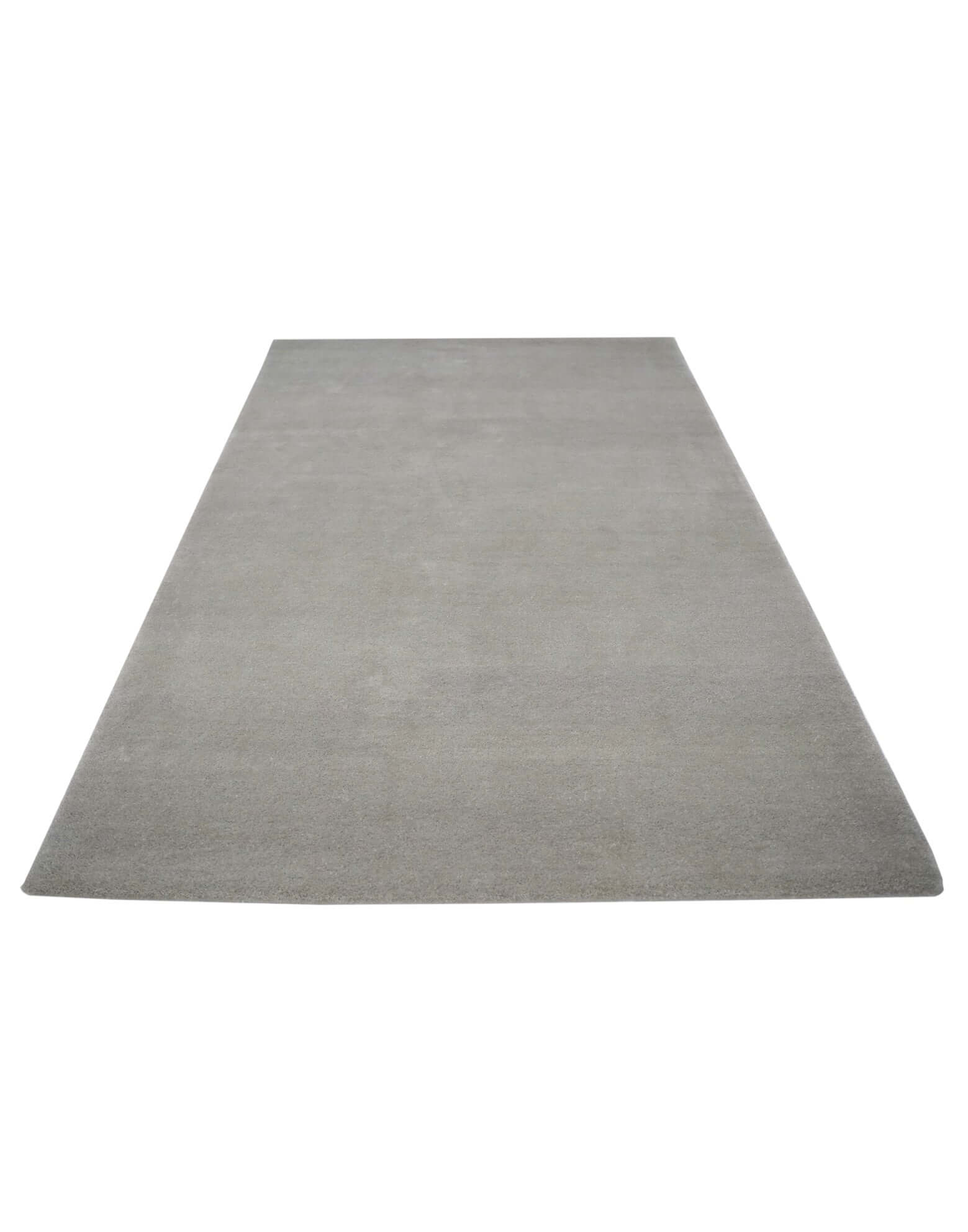 I C O N - S I L V E R