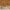Jade Blossom Chinoiserie Wallpaper, Orange
