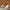 Jade Blossom Chinoiserie Wallpaper, Orange