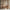 Kusum: Indian Floral Jharokha and Stripes Design Wallpaper