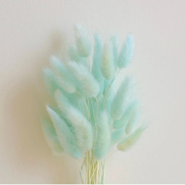 Mint Green Bunny Tail dried flowers bunch for vase decor and aesthetic home styling by ArteCasa