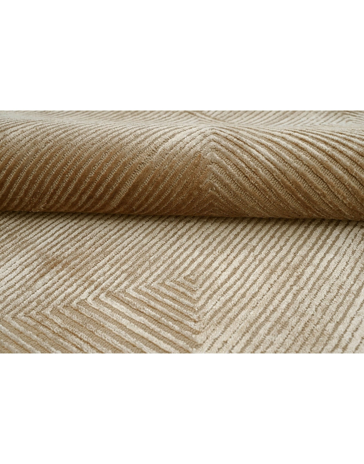 C O N T O U R - R E N A T A