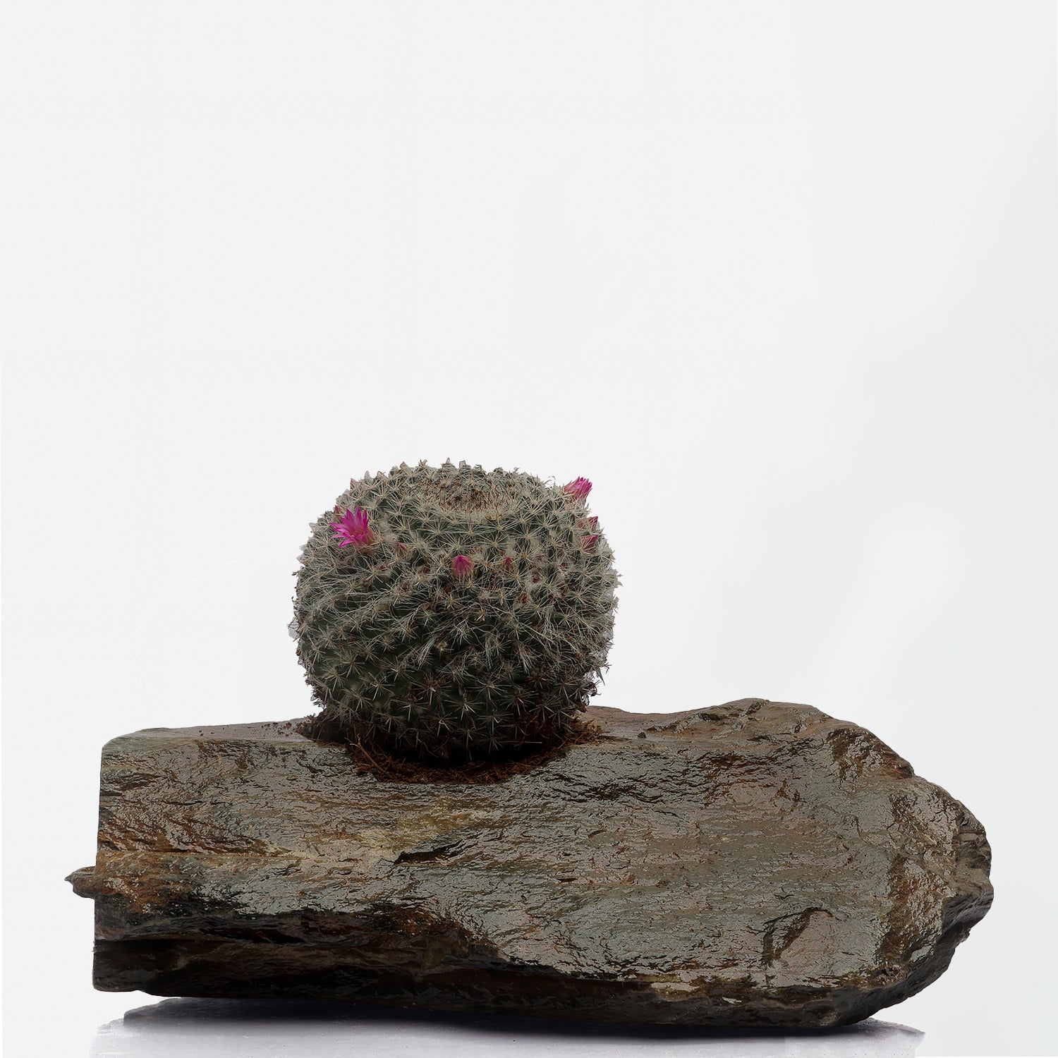 Slate Planter - I MEAN DESIGN