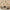 Pichwai Floral Cow Painting Inspired Beige Wallpaper for Walls