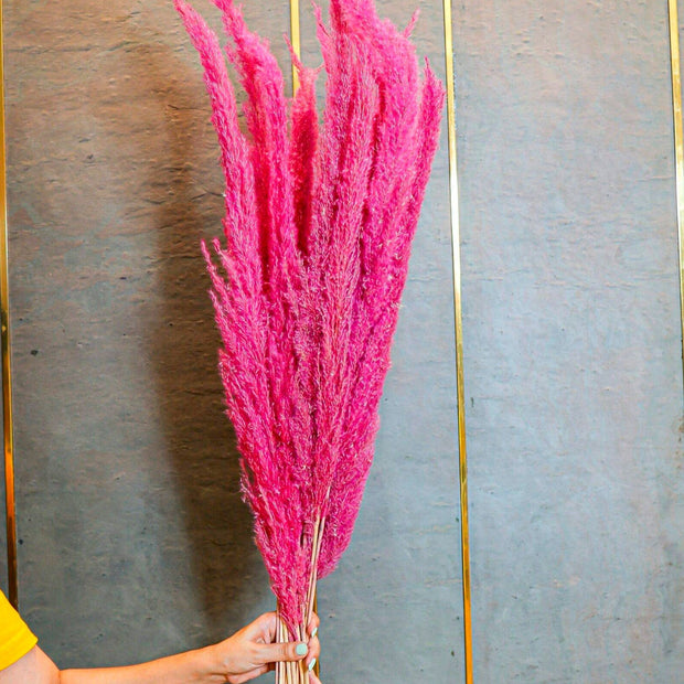 Premium Pampas Dried Flowers | Decorative Vase Filler