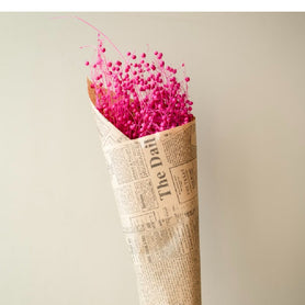 Pink flax dried flowers Natural Dried Floral Decor for Vase Styling | Arte Casa
