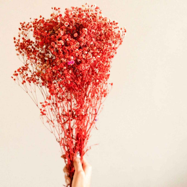 Red Baby Breath Dried Flowers for Vase Decor & Home Styling | ArteCasa