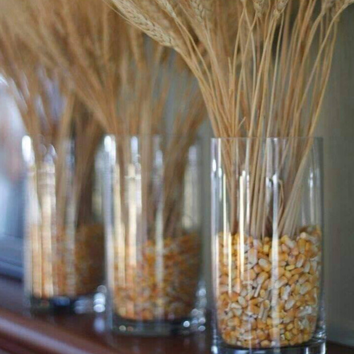 Wheat grass-set of 30 stems - https://artecasa.in/