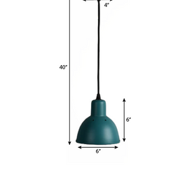 Hawk Pendant Light