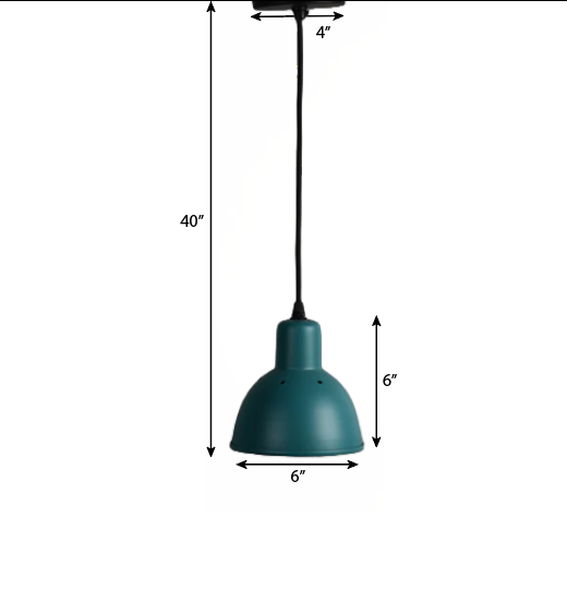 Hawk Pendant Light